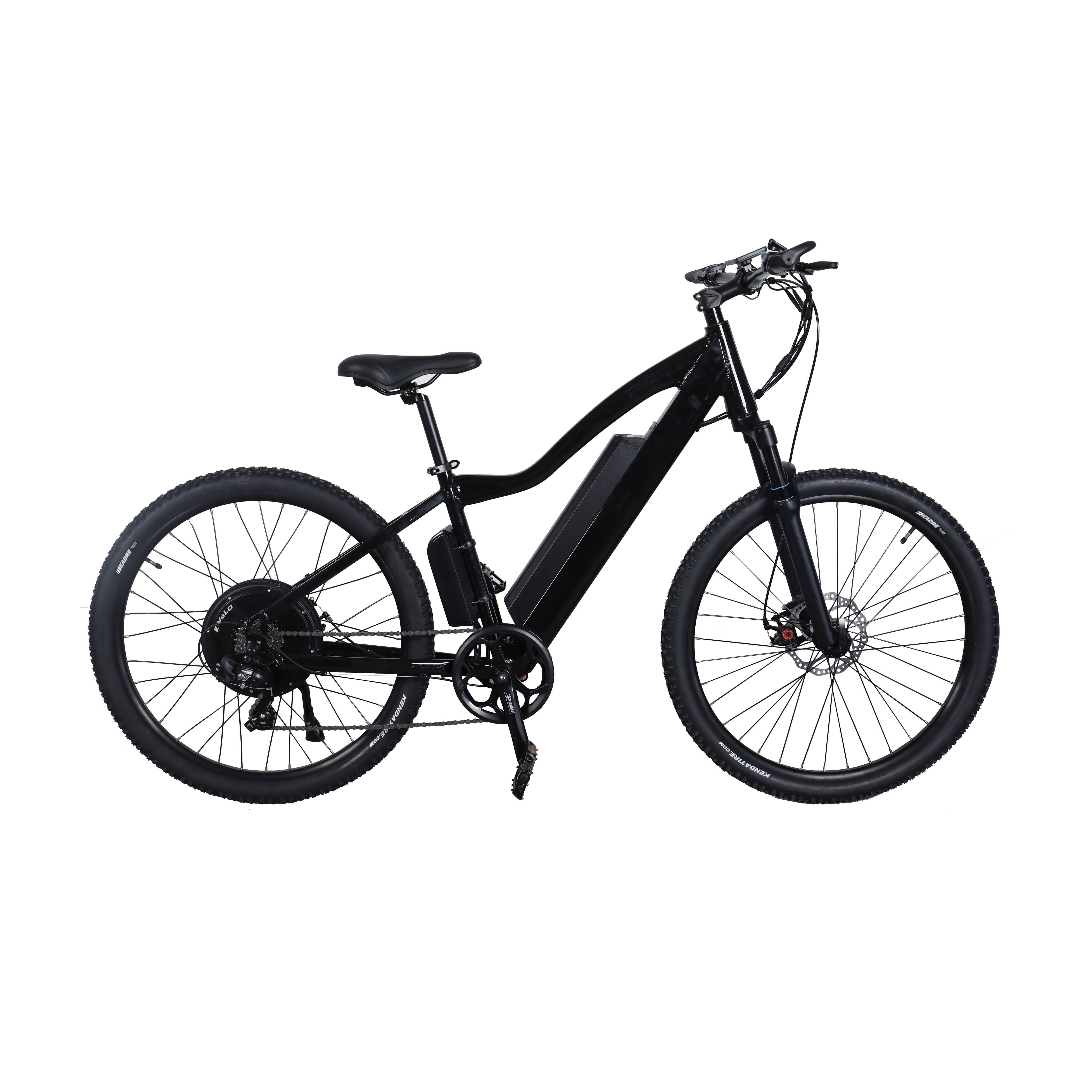 Fat tire electric bicycle: should I buy one?